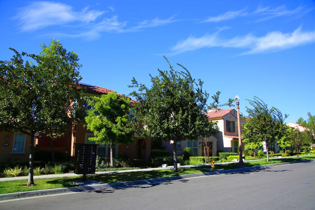 Work Image