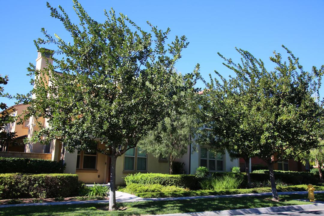Work Image