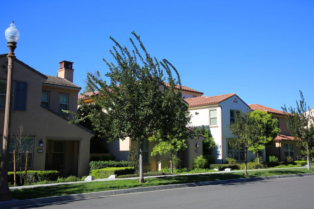 Work Image