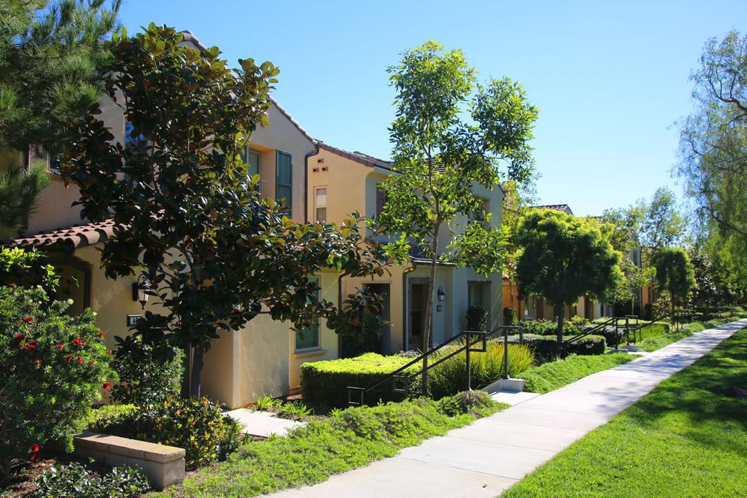 Work Image